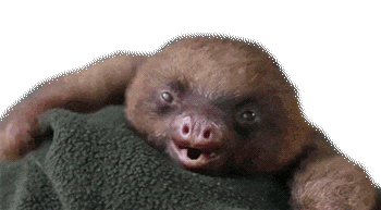 veseluha.gif