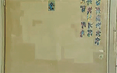zadov.gif