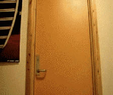 door_bell.gif