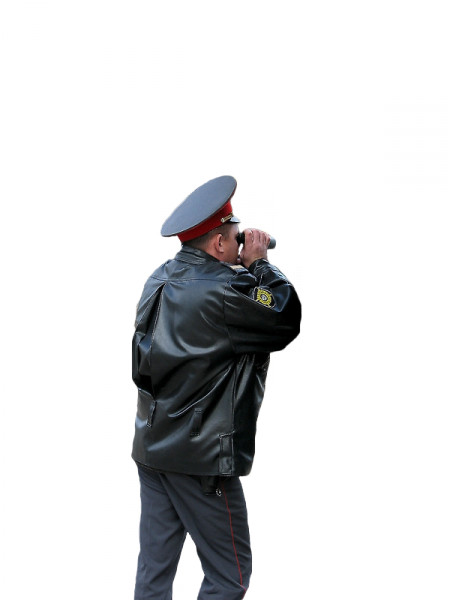 4922541_large.png