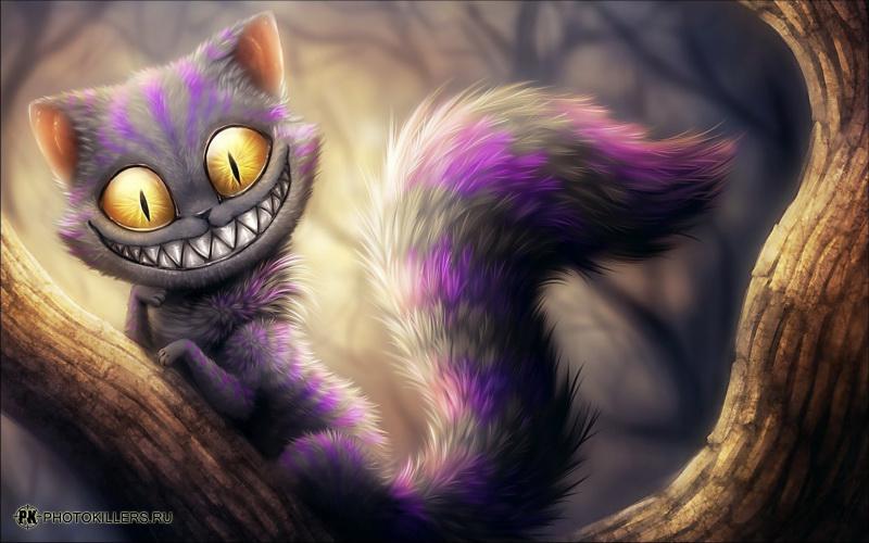 catm.jpg