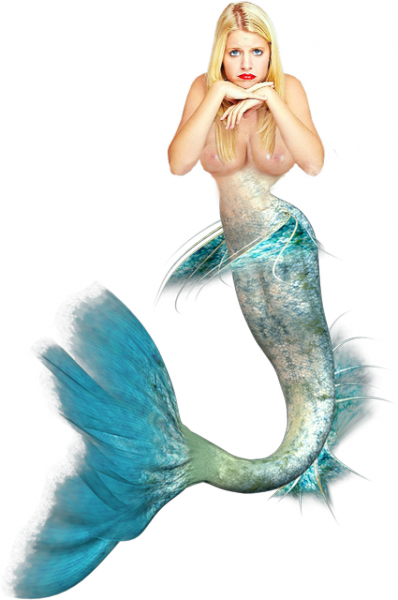2_0.png
