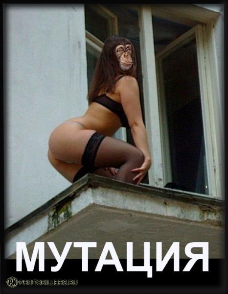 2_1.jpg