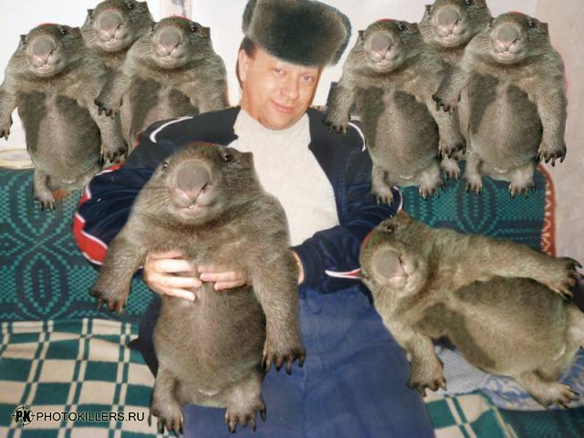 bv.jpg
