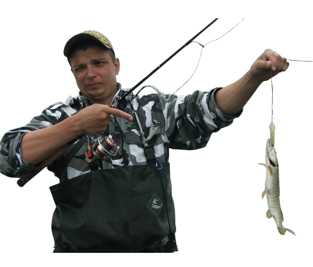 fish.png