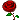 give_rose.gif