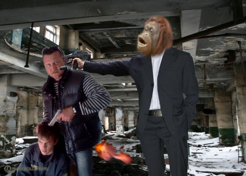 bez_imeni_0.jpg