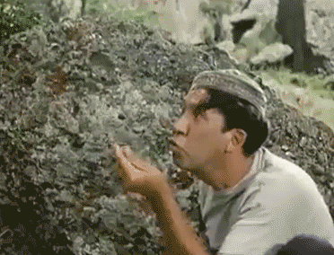 00_9.gif