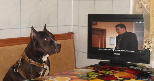 gera.jpg