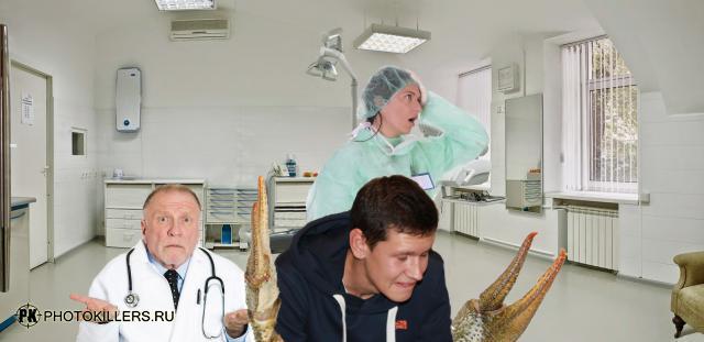 chlenistonogiy.jpg