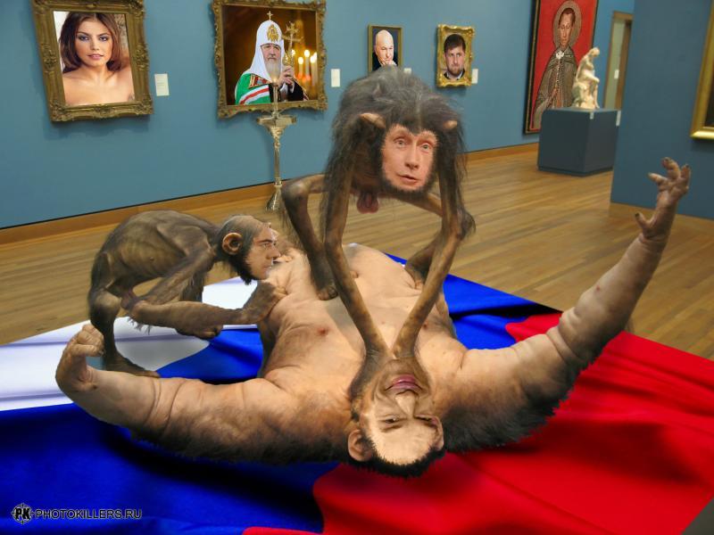 54_3.jpg